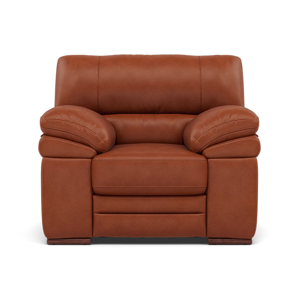 Gino Armchair - Armchair Cat 55 - Image 8